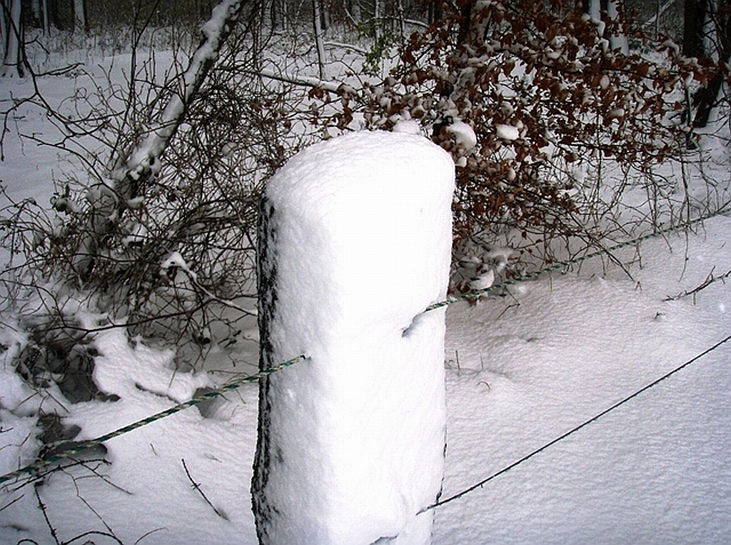 Unter Schnee sind reine Elektrozäune nicht hütesicher